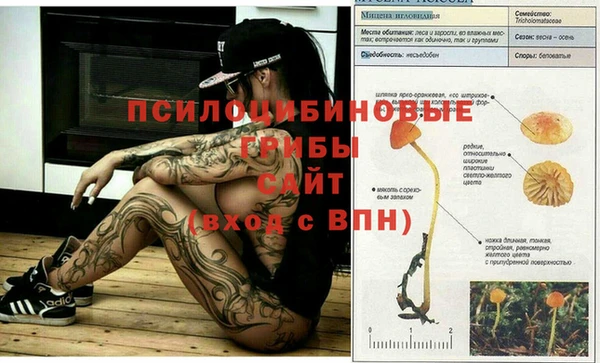 соль курить ск Балабаново