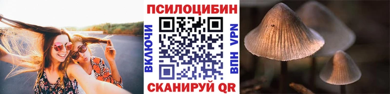 блэк спрут рабочий сайт  Юрьевец  Галлюциногенные грибы мицелий 